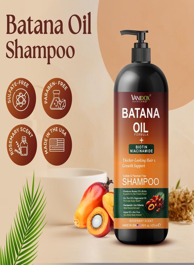 VANIDOX Batana Oil Shampoo – Biotin & Niacinamide Infused – Supports Thicker-Looking Hair – Moisturizing & Nourishing for Thinning Hair and Scalp Care – Sulfate-Free, 16 fl oz - Image 2